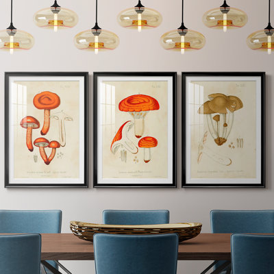 Mushroom Varieties IV  -Custom Framed  Premium Print W Matt - 3 Pieces