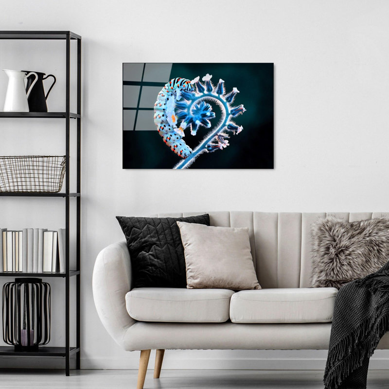Boze Wall Decor
