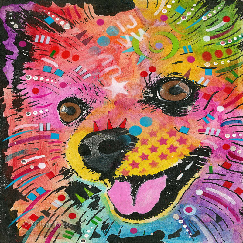 Ensemble de housse de couette en microfibre DiaNoche par Dean Russo - American Eskimo Dog 15
