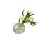 Glass Sphere Bud Vase-768581689