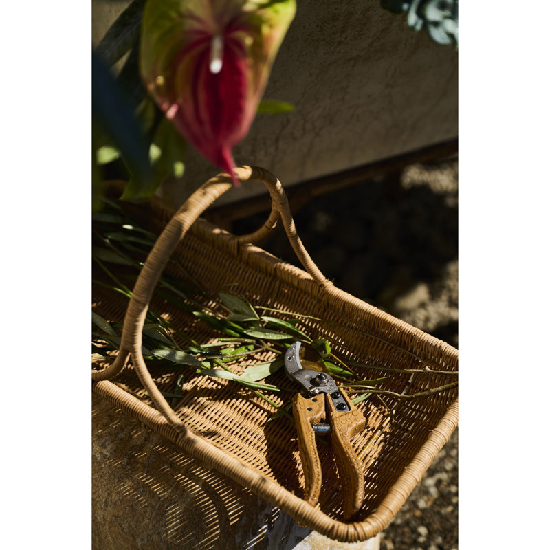 Cisailles de jardinage en aluminium et acier