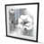 Blanc; gris