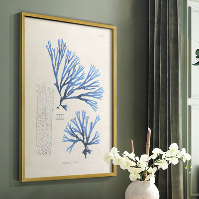 «Blue Marine Algae V», reproduction encadrée en bois massif