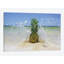 « south floride ananas iii », reproduction de photo sur toile-29173547-72805689-72805698