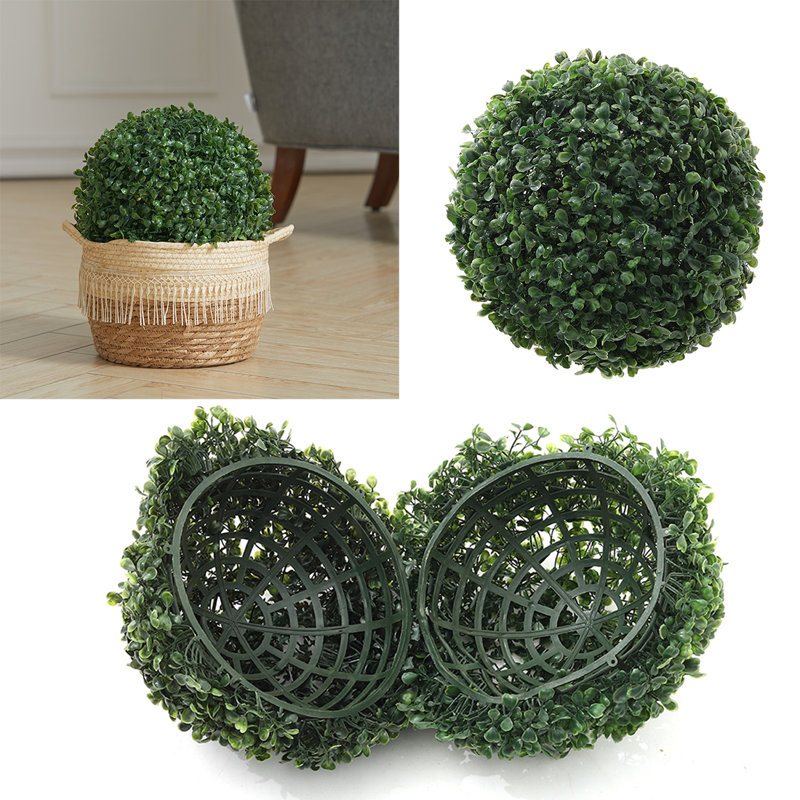 Plant