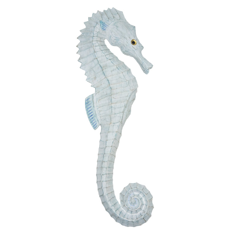 Hippocampe Lg Hd Down Aqua