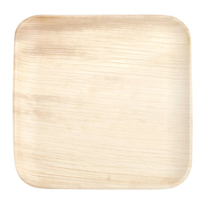 Disposable 8" Dinner Plates - Compostable