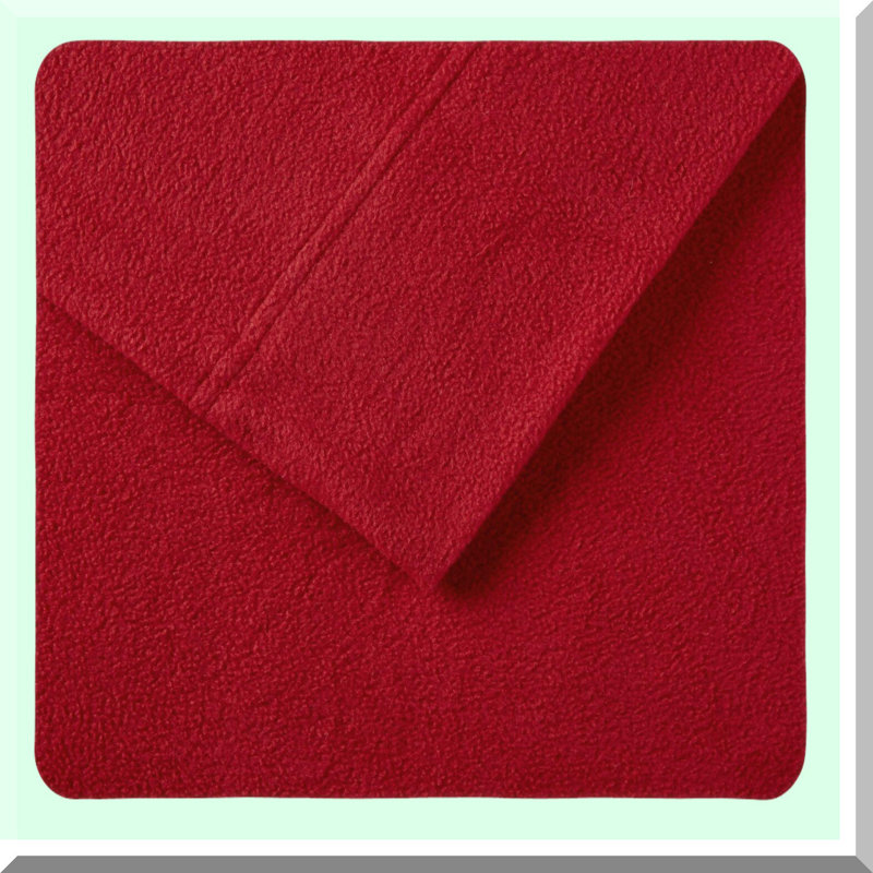 CozyWarm Micro Fleece Sheet Set - 4 Piece Bedding Bundle with Deep Pocket, Soft Sheets for Cold Season, Matching Pillow Case, Extra Warmth