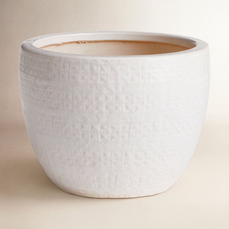 White Ceramic Pot Planter, White