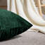 Rizokarpaso Luxury Square Scatter Crushed Velvet Cushion Cover-1823906784