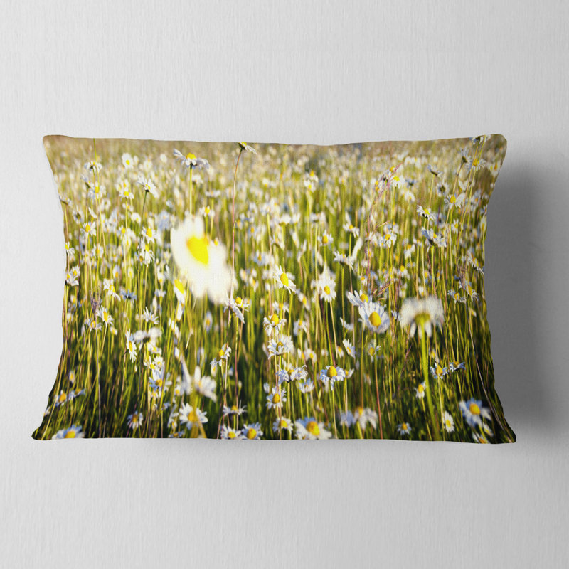Coussin lombaire pour terrain sauvage camomille