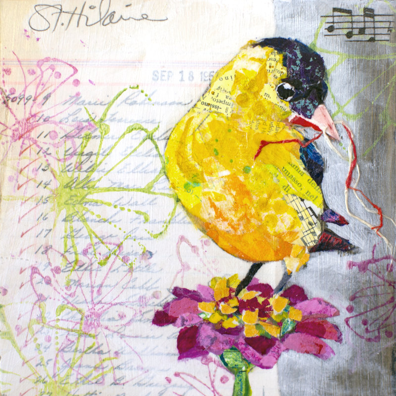 Happy Bird IV by Elizabeth St. Hilaire - Wrapped Canvas Print, 51cm H x 51cm W