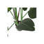 164cm Faux Strelitzia Plant in Planter