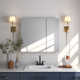 30'' W x 26'' H Surface Frameless Medicine Cabinet with Mirror and 2 Adjustable Shelves