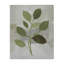 Brins de feuilles sur toile grise, design par Lanie Loreth-650511424