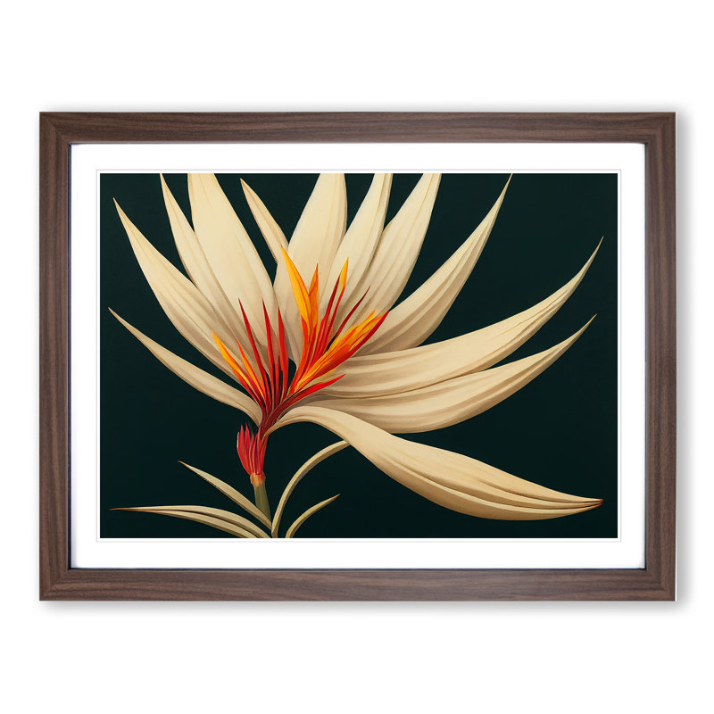 XH1022-8893X The Bird Of Paradise Flower Vol.4 1 Piece Single Picture Frame Wall Art, 25cm H x 34cm W x 2cm D, Walnut Framed