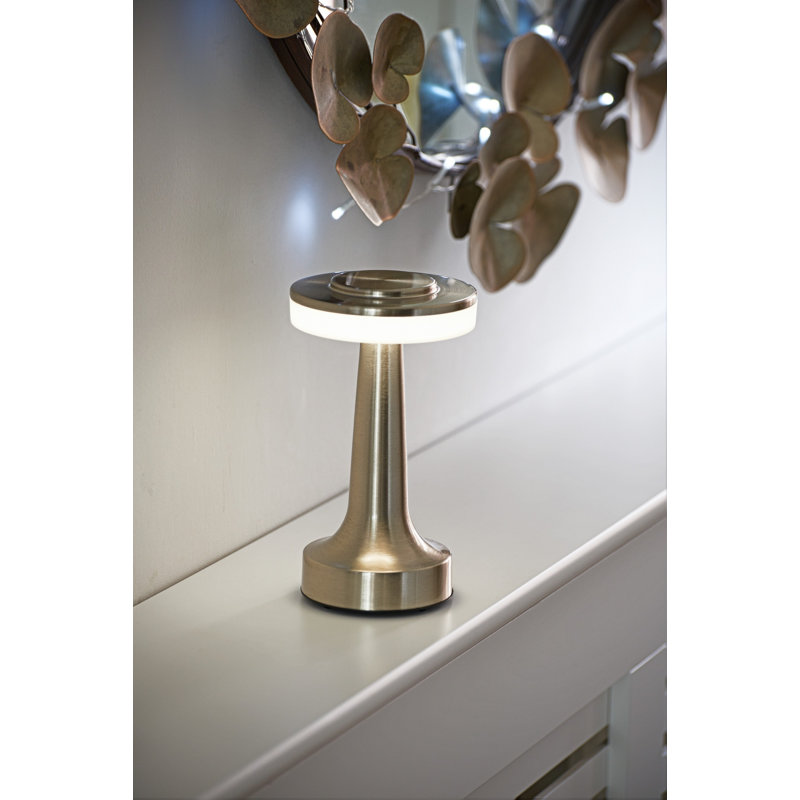Metal Novelty Lamp, Nickel