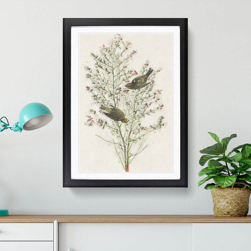 Orange-Crowned Warbler Birds by John Audubon - Picture Frame Painting Print, 65cm H x 48cm W x 2cm D, Black Framed
