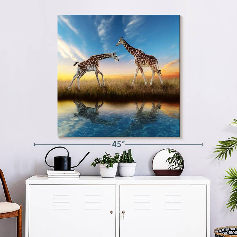 Crowle Giraffes By A Watering Hole