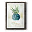 Thym en pot - peinture-1980420748-1980420749