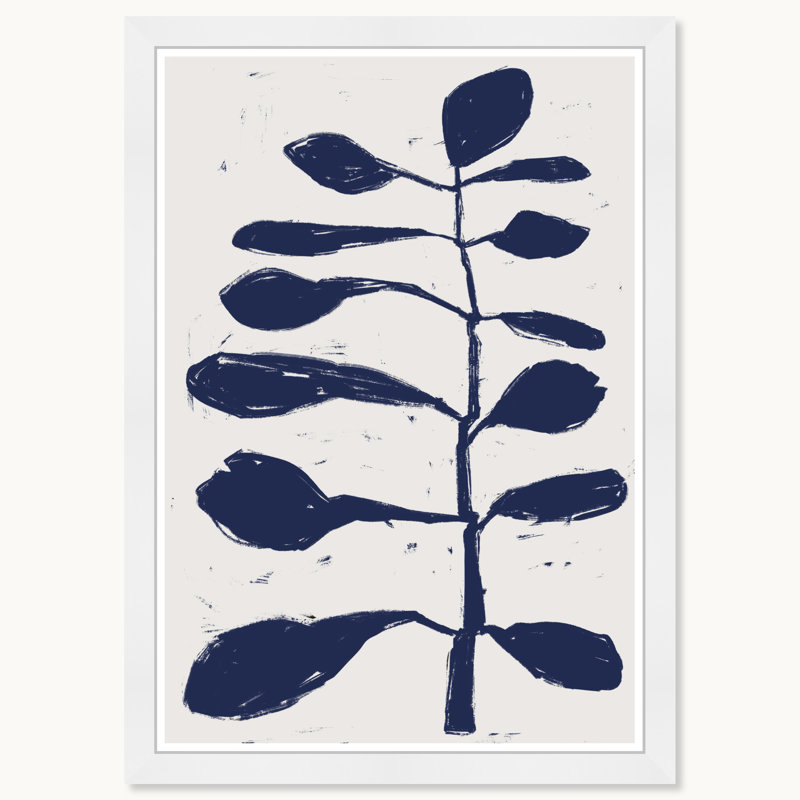Branche d'Azul, Cadre blanc
