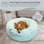 Lit pour chien The Original Calming Doghnut-123843666