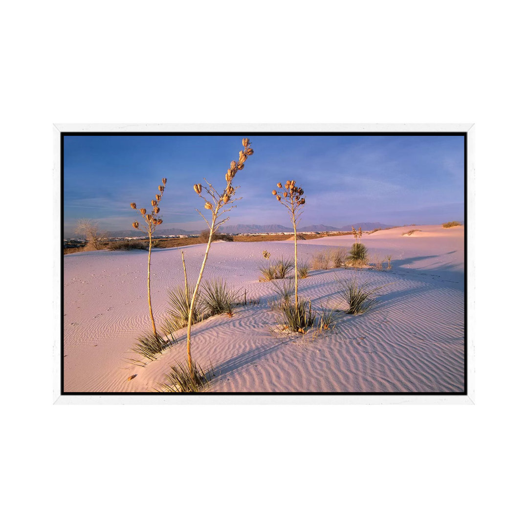 White Sands National Monument, New Mexico II von Tim Fitzharris - Galerie-verpackte Leinwand Giclée auf Leinwand