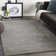 Nadasha Oriental Indoor Rug