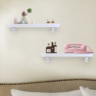 Dov 2 Piece 24" Display Ledge Accent Shelf