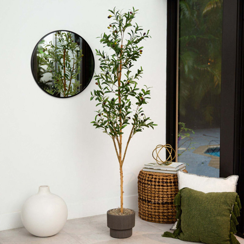 6ft Tall Faux Olive Tree with Natural Trunk in Gray Pot