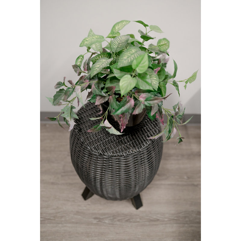  Tabouret de jardin en osier