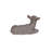 Donkey Foal Lying Down