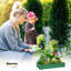 Raised Garden Bed