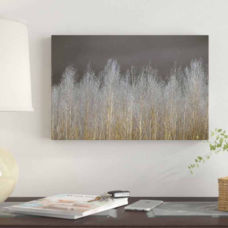 «Silver Forest» par Assaf Frank - reproduction d'art sur toile tendue, H 40 po x l 60 po x P 1,5 po, Toile tendue