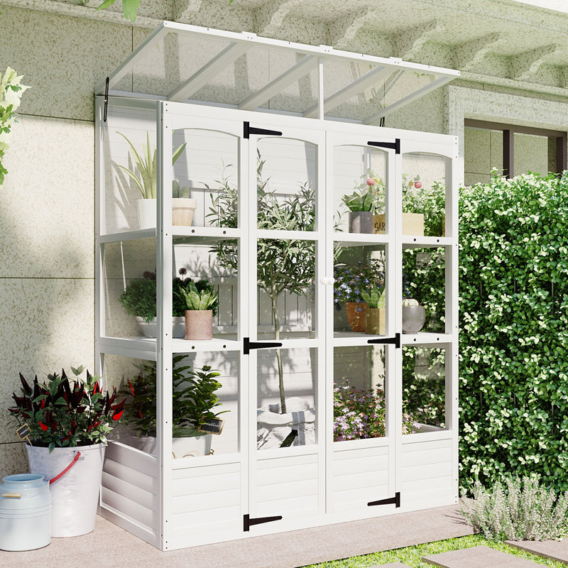 Wooden Greenhouse Cold Frame with 4 Independent Skylights and 2 Folding Middle Shelves, Walk-in Outdoor Greenhouse, White