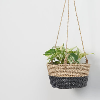Panier en ruppie maritime