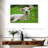 Brampt Funny Lamb-107846949