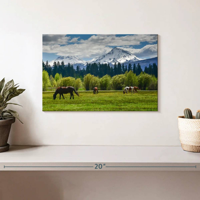 Chevaux Alvord Cascade Range, H 8 po x l 12 po