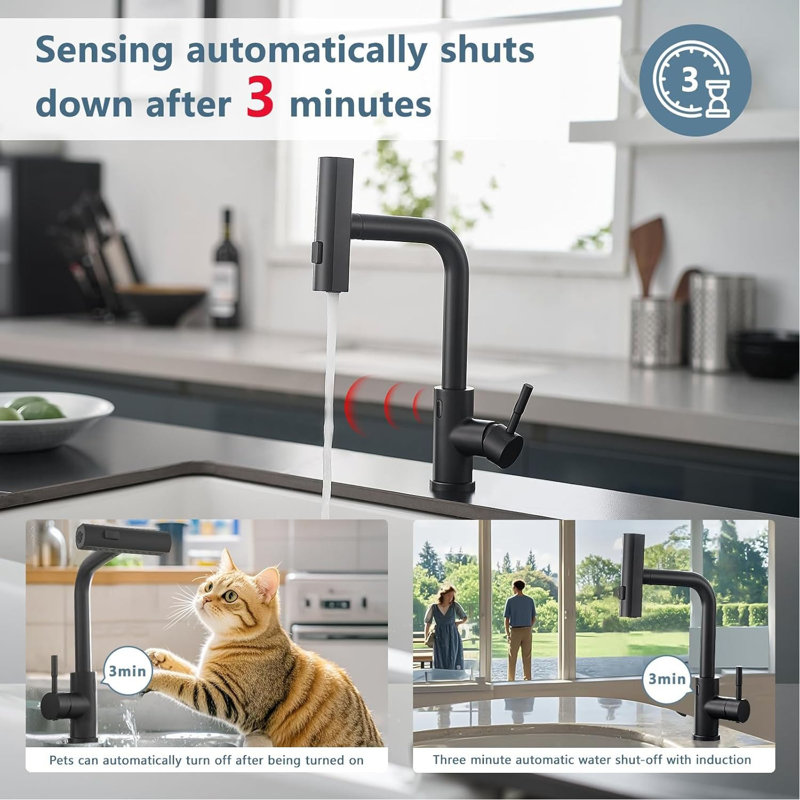 Robinet de cuisine commercial monotrou Modern, Noir mat, Sans contact