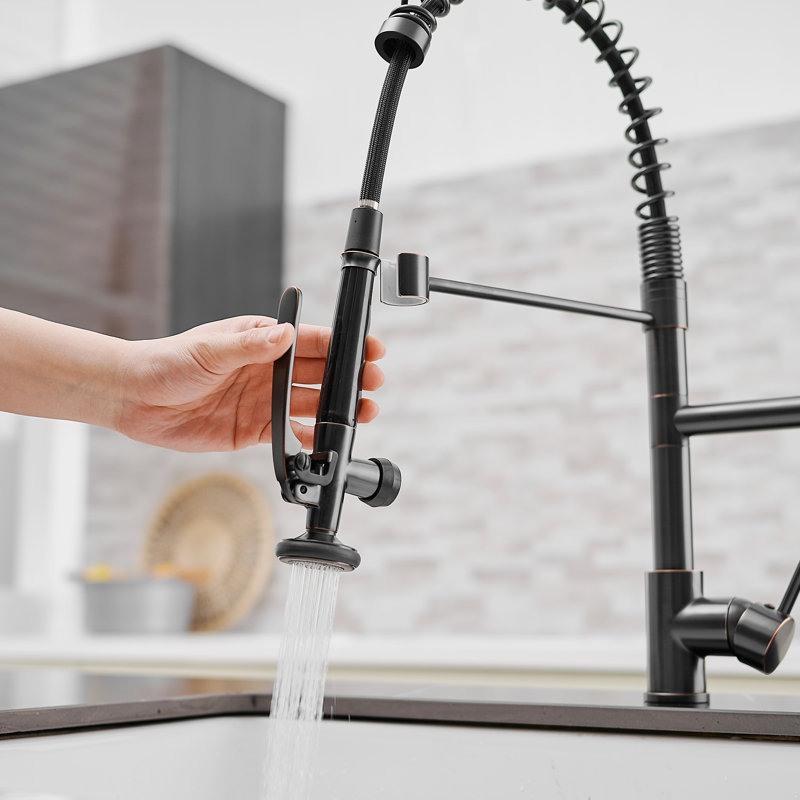FLG Kitchen Faucet, Black/Gold