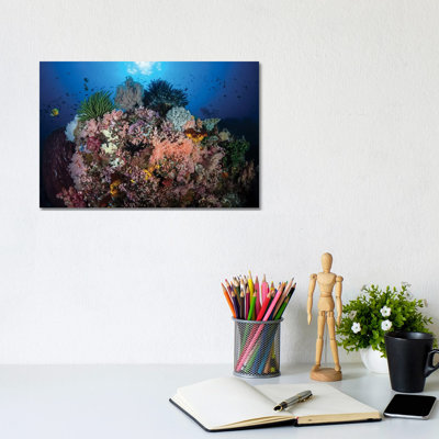 A Beautiful and Fragile Coral Reef Grows in Komodo National Park, Indonesia II 1 Piece Wrapped Canvas Wall Art