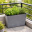 Meltham Raised Garden Bed-122610418