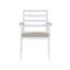 Fardy Patio Dining Side Chair with Cushion