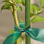 Support pour plante solide et extensible
