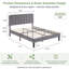 Lit plateforme rembourré en velours amélioré avec tête de lit réglable, conception renforcée et silencieuse, aucun sommier tapissier requis, support de lattes en bois robuste, assemblage facile-623717989-623717988