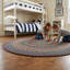 Tapis d'intérieur réversible et multicolore en nylon tressé, polyester et laine Walnut Cove