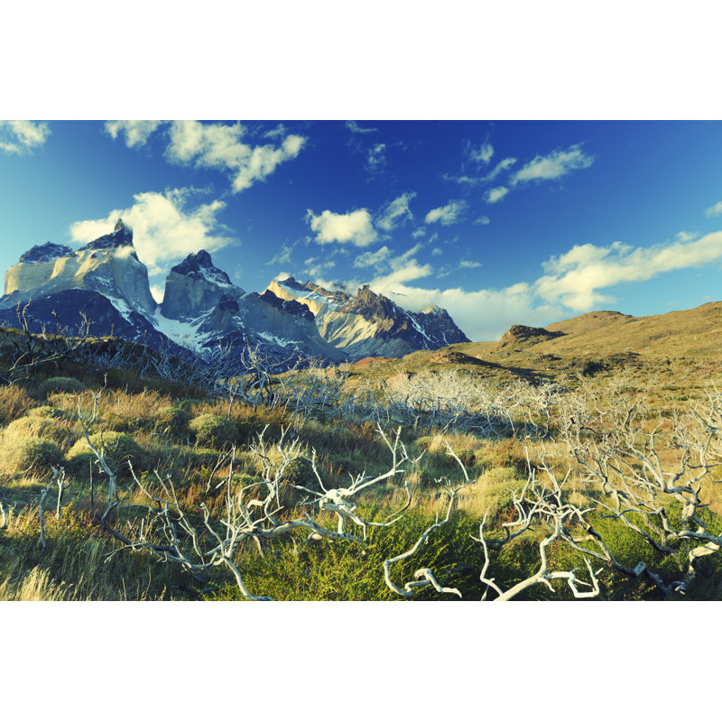 Torres del Paine par Pawel Gaul, H 32 po x l 48 po