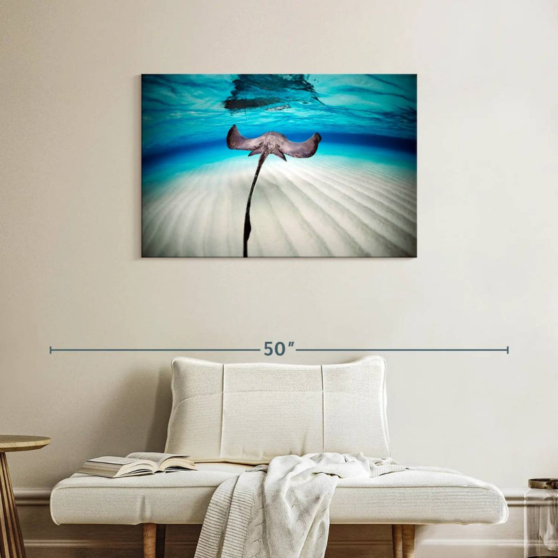 Paysage sous-marin Braming Stingray, H 24 po x l 36 po