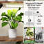 Support pour plante en forme de feuille