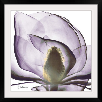 Manigault 'Magnolia X-Ray by Kiranjit Photographic Print